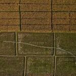 El Niño Threat Raises Global Crop Concerns Ahead of 2026-27 Growing Season