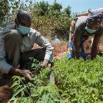 Climate-Resilient Agriculture Gains Momentum as Investments Accelerate Worldwide