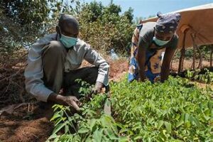 Climate-Resilient Agriculture Gains Momentum as Investments Accelerate Worldwide