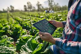 Agricultural Technology Investment Continues to Rise Worldwide