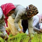 Women Farmers Take Center Stage in Global Agriculture