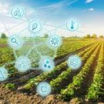 International Research Breakthrough Expected to Transform Crop Monitoring and Food Security Planning