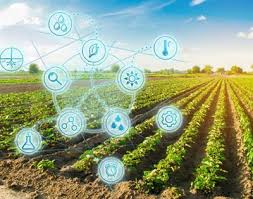 International Research Breakthrough Expected to Transform Crop Monitoring…