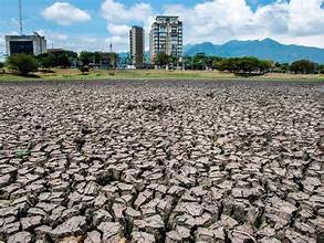 UN Launches $202 Million Appeal to Protect Farmers and Food Systems from El Niño Impacts