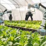 Agricultural Innovation and Sustainability Gain Momentum in 2026