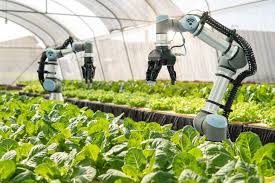 Agricultural Innovation and Sustainability Gain Momentum in 2026