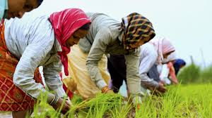Women Farmers Take Center Stage in Global Agriculture