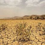 Weak Monsoon Raises Concerns for Indian Agriculture