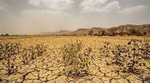 Weak Monsoon Raises Concerns for Indian Agriculture