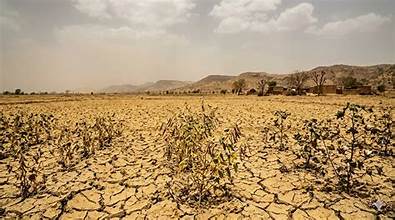 Weak Monsoon Raises Concerns for Indian Agriculture