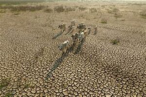 Rice Markets Face New Risks from Geopolitical Tensions&hellip;