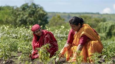 Women Farmers Gain Global Recognition as New Initiatives Strengthen Agricultural Opportunities