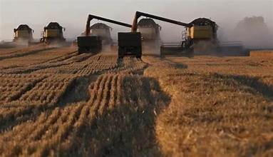 Global Wheat Supplies Expected to Tighten as Production…