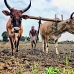 India Identifies 315 Vulnerable Kharif Districts, Strengthens Preparedness Measures