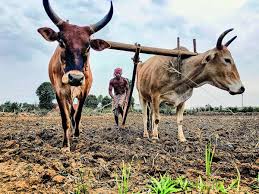 India Identifies 315 Vulnerable Kharif Districts, Strengthens Preparedness&hellip;
