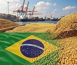 Brazil Strengthens Its Position as Global Soybean Production Leader