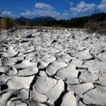 Europe Faces Climate-Driven Early Harvests as Drought Accelerates Crop Maturity