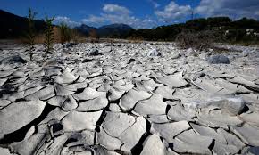Europe Faces Climate-Driven Early Harvests…