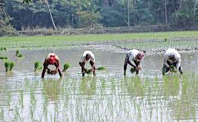 Bangladesh Launches Tk10,000 Crore Agricultural Refinancing Scheme to&hellip;