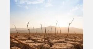 Climate Extremes Threaten Global Fruit Production as Weather&hellip;