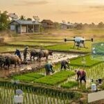Artificial Intelligence Gains Momentum in Southeast Asian Agriculture