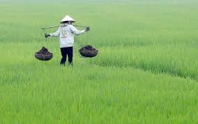 Rising Fertilizer Prices Increase Pressure on Farmers and&hellip;