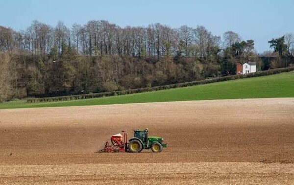 UK Farmers Face Growing Challenges as Post-Brexit Trade…