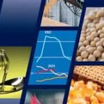 FAO Forecasts Growth in Global Food Commodity Production Despite Climate Challenges