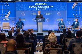 Food Security Challenges Persist Across Developing Nations
