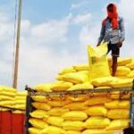 FAO Warns Fertilizer Supply Risks Could Trigger Global Food Production Shock