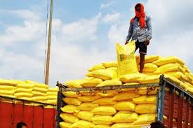 FAO Warns Fertilizer Supply Risks Could Trigger Global…