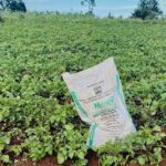 Fertilizer Prices Continue to Threaten Farm Economics as Global Costs Rise