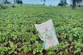 Fertilizer Prices Continue to Threaten Farm Economics as&hellip;