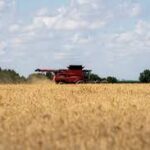 China-U.S. Agricultural Trade Shows Signs of Recovery as New Purchase Commitments Emerge