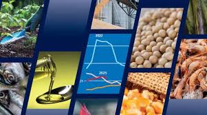 FAO Forecasts Growth in Global Food Commodity Production…