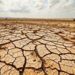 Extreme Heat Poses Growing Threat to Global Agricultural Production