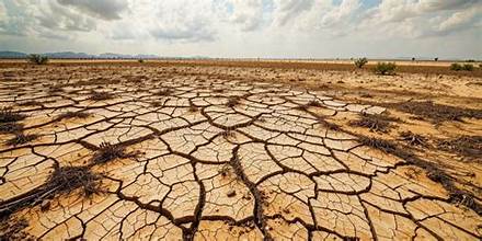 Extreme Heat Poses Growing Threat to Global Agricultural Production