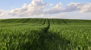 China Accelerates Agricultural Modernization with Focus on Technology,&hellip;