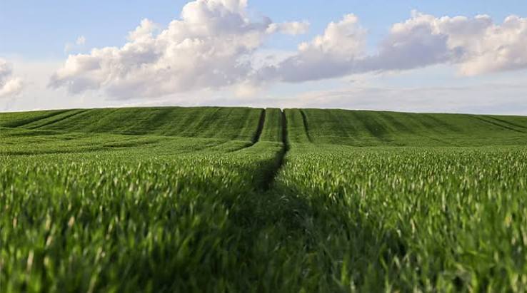 China Accelerates Agricultural Modernization with Focus on Technology,&hellip;