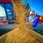 China’s Massive Farm Import Commitment Boosts Global Grain Markets