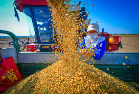 China’s Massive Farm Import Commitment Boosts Global Grain Markets