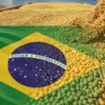 Brazil Strengthens Its Position as Global Soybean Leader with Record Production and Exports