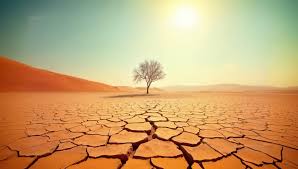 Weather Conditions Continue to Influence Global Grain Markets