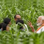 New Investments Target Crop Resilience Research as Climate Challenges Intensify