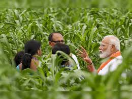 New Investments Target Crop Resilience Research as Climate Challenges Intensify