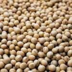 ADM Expands Sustainable Soybean Farming Initiative to Support More Farmers in India
