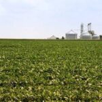 U.S. Proposes Additional $11 Billion Farm Assistance to Help Farmers Tackle Rising Production Costs