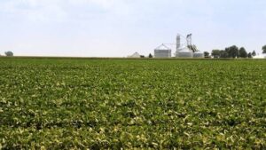 U.S. Proposes Additional $11 Billion Farm Assistance to&hellip;