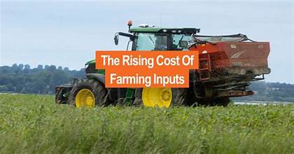 Food Security Risks Increase as Rising Input Costs…