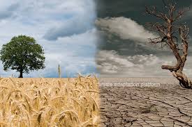 Extreme Heat Increasingly Threatens Crop Yields and Global&hellip;
